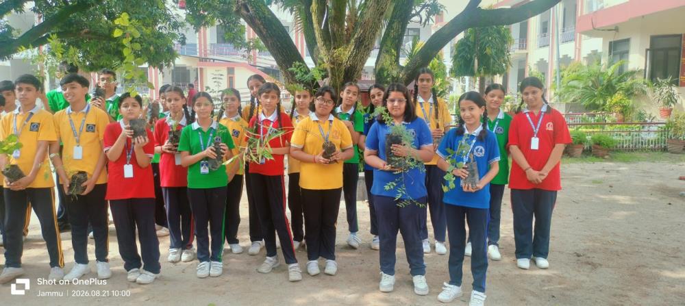 PLANTATION DRIVE