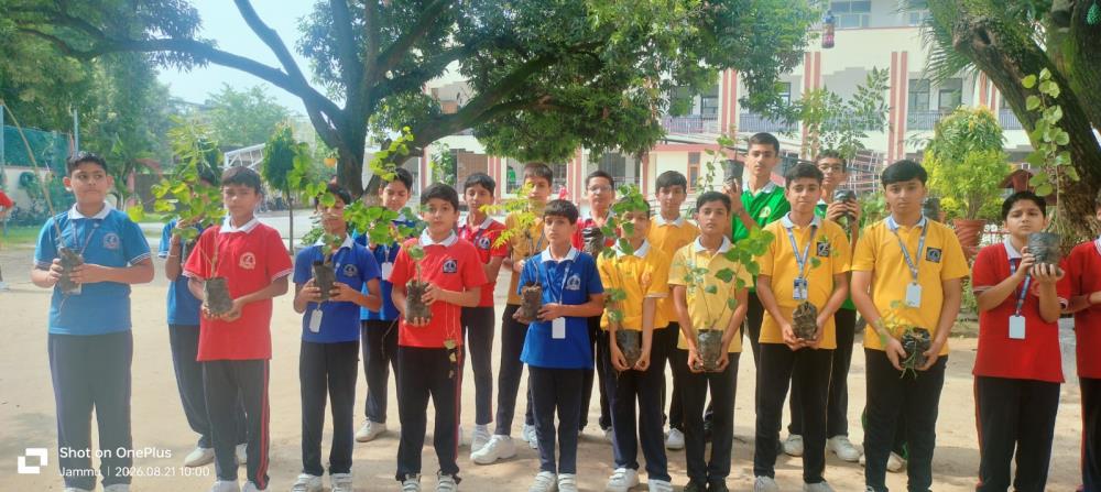 PLANTATION DRIVE