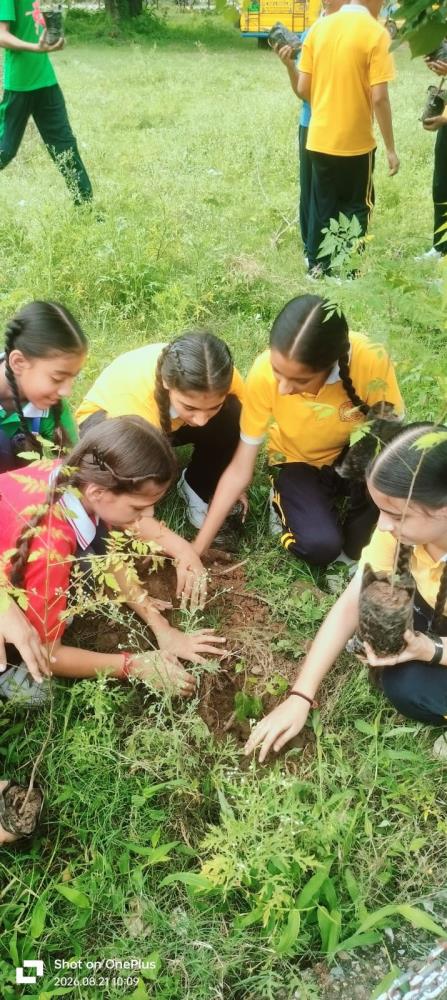 PLANTATION DRIVE
