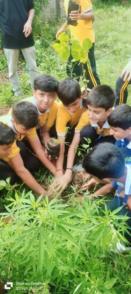 PLANTATION DRIVE