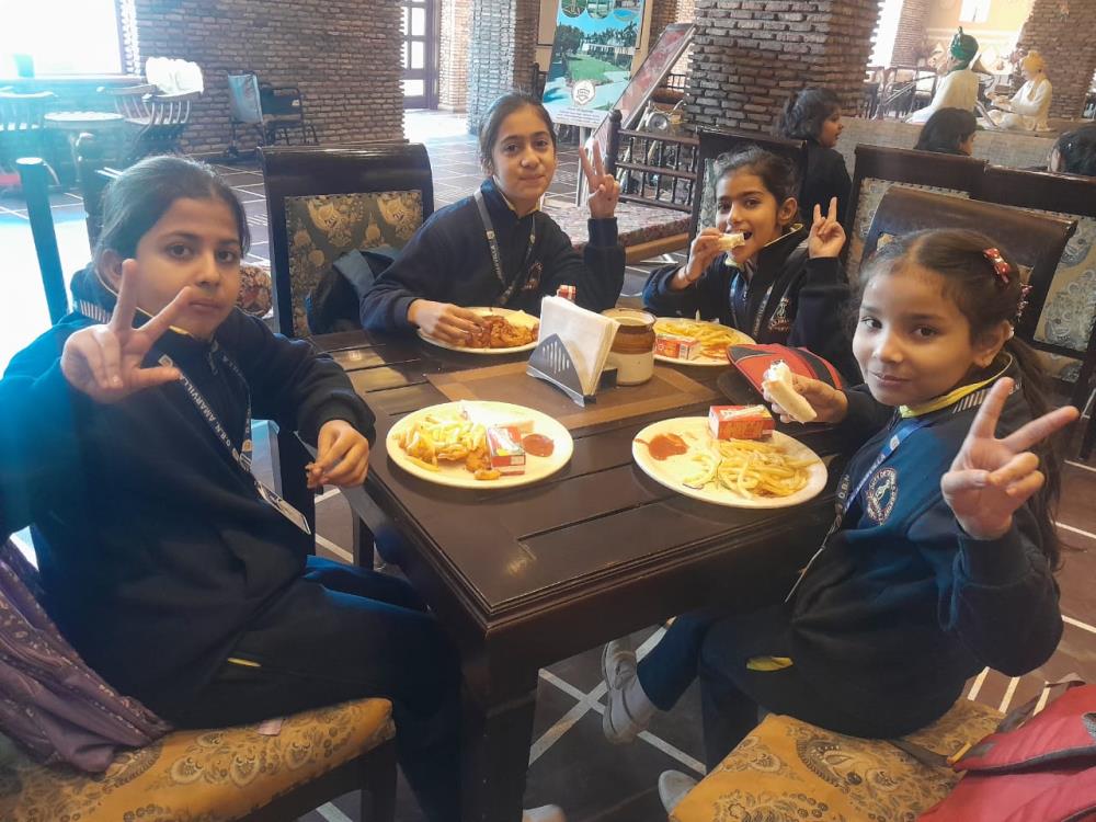 PICNIC AT PUNJABI HAVEL ( CLASS 3 TO 7)