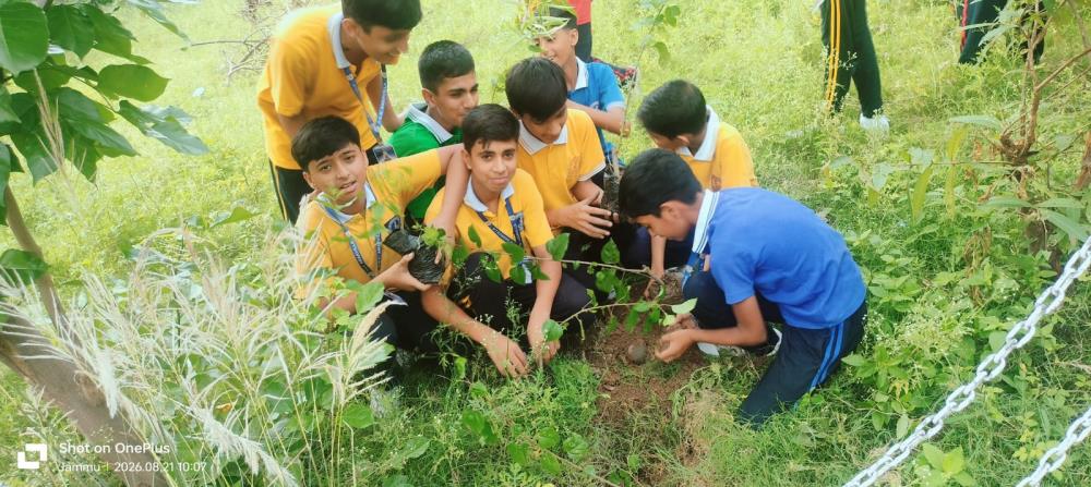 PLANTATION DRIVE